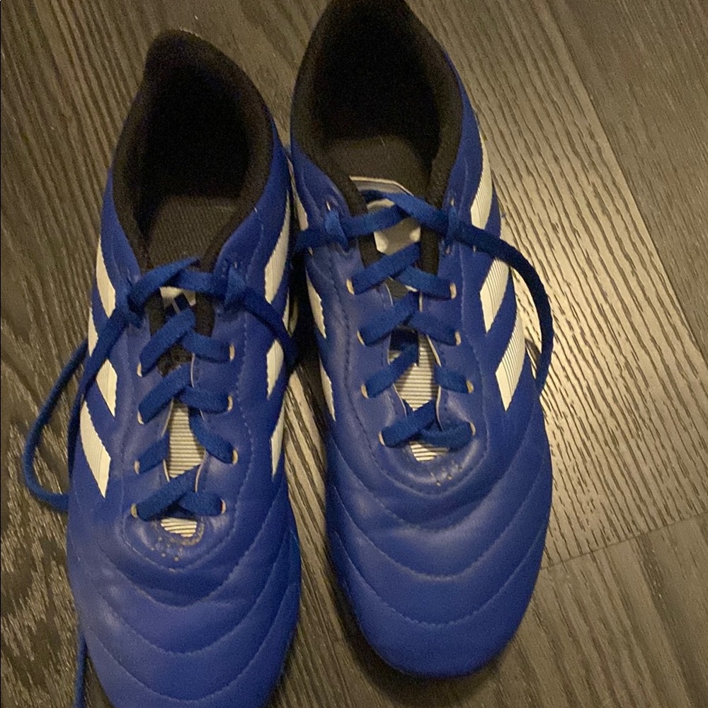 Adidas Blue and White Soccer Cleats